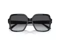 Jimmy Choo Naočare za sunce JC 5005 5041T3