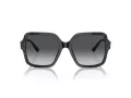 Jimmy Choo Naočare za sunce JC 5005 5041T3