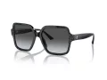 Jimmy Choo Naočare za sunce JC 5005 5041T3