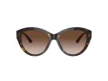 Jimmy Choo Naočare za sunce JC 5007 500213