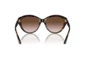 Jimmy Choo Naočare za sunce JC 5007 500213