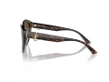 Jimmy Choo Naočare za sunce JC 5007 500213