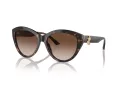 Jimmy Choo Naočare za sunce JC 5007 500213