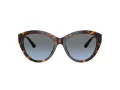 Jimmy Choo Naočare za sunce JC 5007 50028F