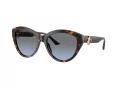 Jimmy Choo Naočare za sunce JC 5007 50028F