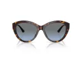 Jimmy Choo Naočare za sunce JC 5007 50028F
