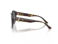 Jimmy Choo Naočare za sunce JC 5007 50028F