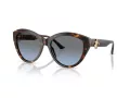 Jimmy Choo Naočare za sunce JC 5007 50028F