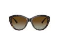 Jimmy Choo Naočare za sunce JC 5007 5002T5