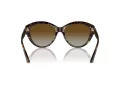 Jimmy Choo Naočare za sunce JC 5007 5002T5