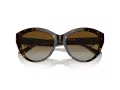 Jimmy Choo Naočare za sunce JC 5007 5002T5