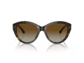 Jimmy Choo Naočare za sunce JC 5007 5002T5