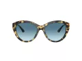 Jimmy Choo Naočare za sunce JC 5007 500419