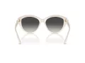 Jimmy Choo Naočare za sunce JC 5007 50088G