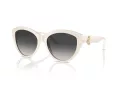 Jimmy Choo Naočare za sunce JC 5007 50088G