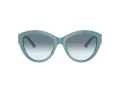 Jimmy Choo Naočare za sunce JC 5007 501219