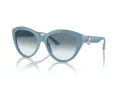 Jimmy Choo Naočare za sunce JC 5007 501219