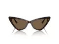 Jimmy Choo Naočare za sunce JC 5008 500273