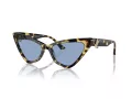 Jimmy Choo Naočare za sunce JC 5008 500472
