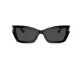 Jimmy Choo Naočare za sunce JC 5011U 500087