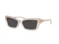 Jimmy Choo Naočare za sunce JC 5011U 502587