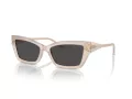 Jimmy Choo Naočare za sunce JC 5011U 502587