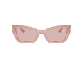 Jimmy Choo Naočare za sunce JC 5011U 5027/5