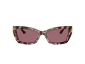 Jimmy Choo Naočare za sunce JC 5011U 50701A