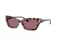 Jimmy Choo Naočare za sunce JC 5011U 50701A