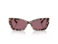 Jimmy Choo Naočare za sunce JC 5011U 50701A