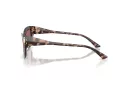 Jimmy Choo Naočare za sunce JC 5011U 50701A