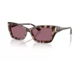 Jimmy Choo Naočare za sunce JC 5011U 50701A