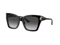 Jimmy Choo Naočare za sunce JC 5012 50008G