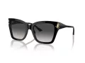Jimmy Choo Naočare za sunce JC 5012 50008G