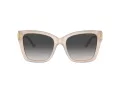 Jimmy Choo Naočare za sunce JC 5012 50258G
