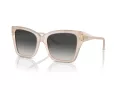Jimmy Choo Naočare za sunce JC 5012 50258G