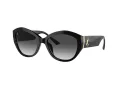 Jimmy Choo Naočare za sunce JC 5013U 50008G