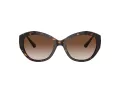 Jimmy Choo Naočare za sunce JC 5013U 500213