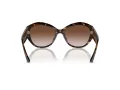 Jimmy Choo Naočare za sunce JC 5013U 500213