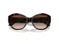 Jimmy Choo Naočare za sunce JC 5013U 500213