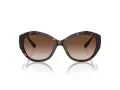 Jimmy Choo Naočare za sunce JC 5013U 500213