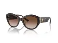 Jimmy Choo Naočare za sunce JC 5013U 500213