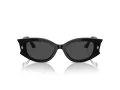 Jimmy Choo Naočare za sunce JC 5015U 500087