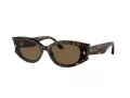 Jimmy Choo Naočare za sunce JC 5015U 500273