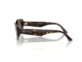 Jimmy Choo Naočare za sunce JC 5015U 500273