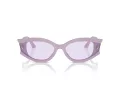 Jimmy Choo Naočare za sunce JC 5015U 50211A