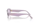 Jimmy Choo Naočare za sunce JC 5015U 50211A