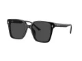 Jimmy Choo Naočare za sunce JC 5016D 500087