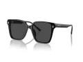 Jimmy Choo Naočare za sunce JC 5016D 500087
