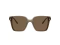 Jimmy Choo Naočare za sunce JC 5016D 505173
